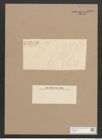 Auricula amphitrites Castr. (de-Toni-Nr.: Genus 31, Species 1374) Zeichnungen Sammlung Grunow Nr. 2605 (NHMW-BOT-W0369831)